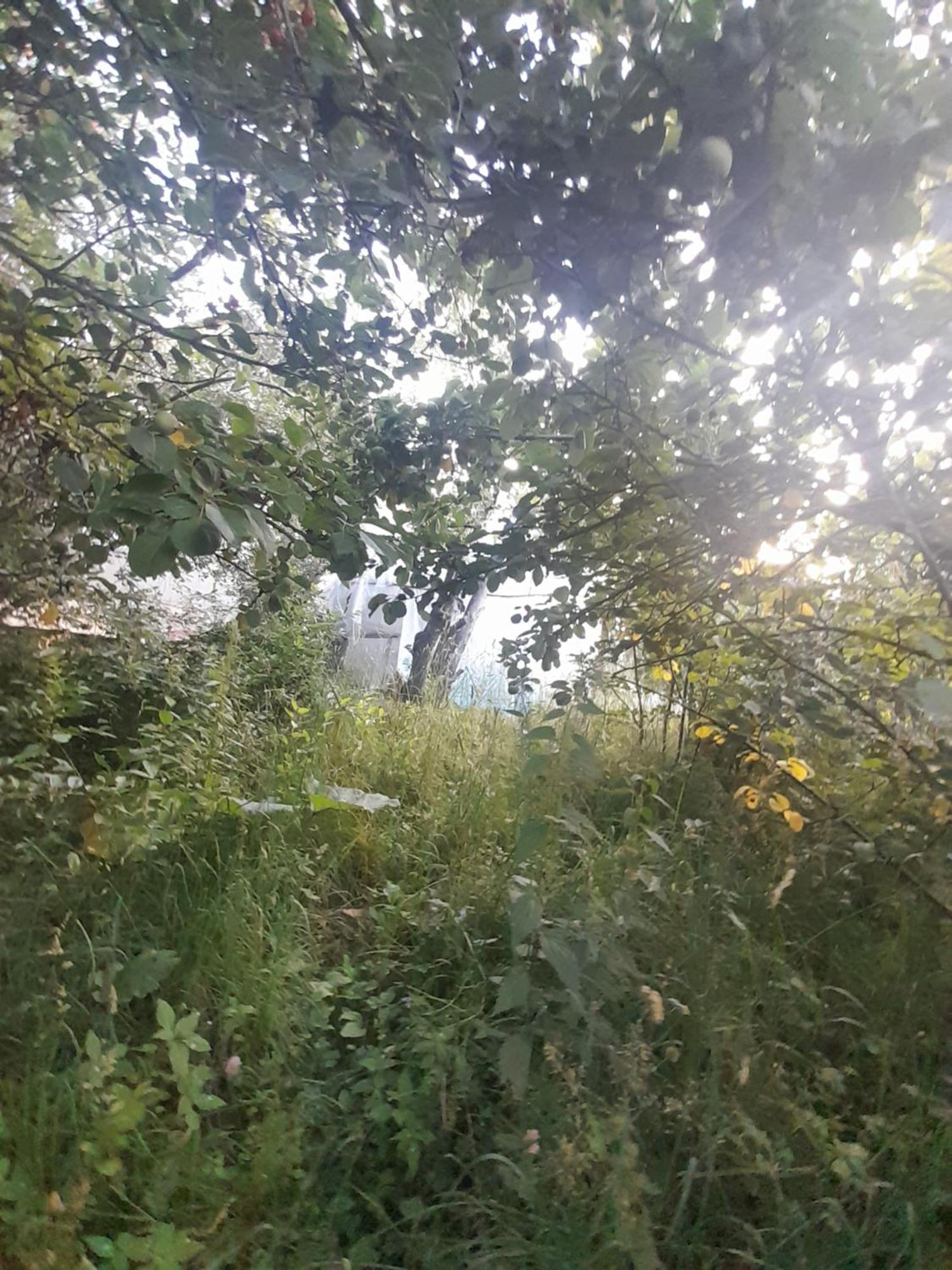 Waterfall In The Yard Каракол Екстер'єр фото
